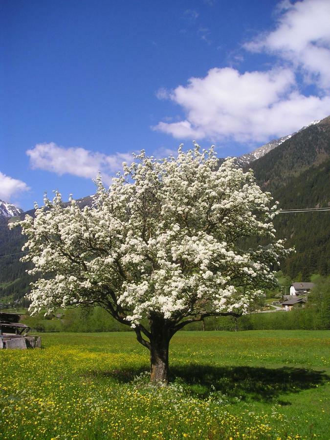Muellerhof Vila Anterselva di Mezzo Exterior foto