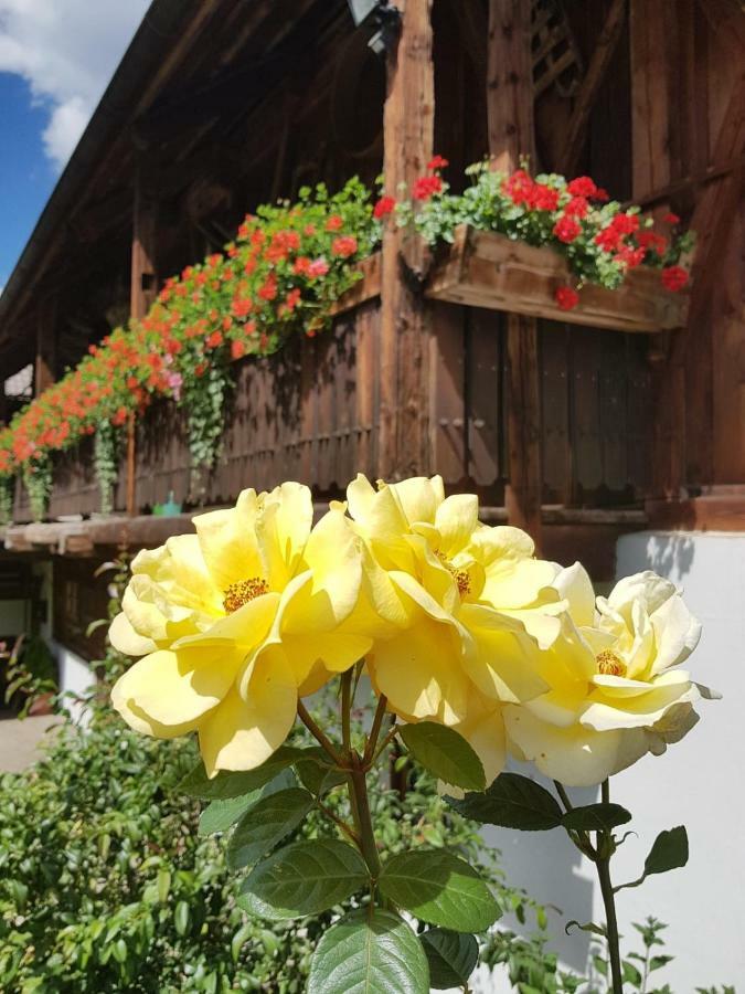 Muellerhof Vila Anterselva di Mezzo Exterior foto